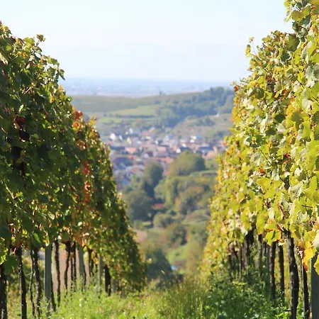 Luna -3 Schlafzimmer, Waschmaschine, Kueche, Wlan, Ca 15 Min Bis Zum Europa Park, Apartman *