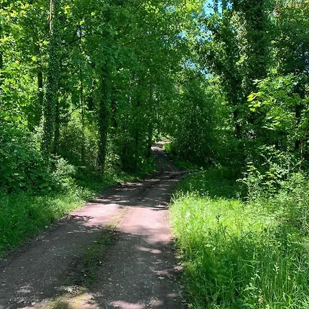 Luna -3 Schlafzimmer, Waschmaschine, Kueche, Wlan, Ca 15 Min Bis Zum Europa Park, * Malterdingen