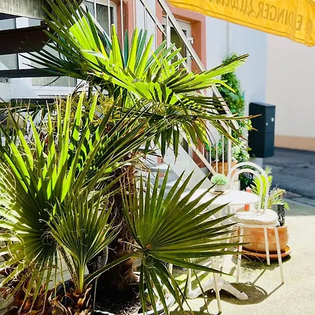 Apartamento Luna -3 Schlafzimmer, Waschmaschine, Kueche, Wlan, Ca 15 Min Bis Zum Europa Park, *