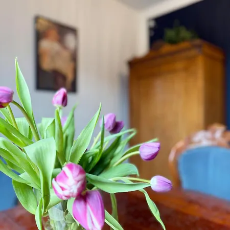 Appartement Luna -3 Schlafzimmer, Waschmaschine, Kueche, Wlan, Ca 15 Min Bis Zum Europa Park,