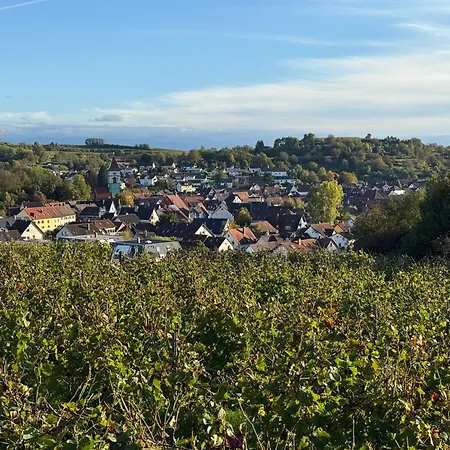 Luna -3 Schlafzimmer, Waschmaschine, Kueche, Wlan, Ca 15 Min Bis Zum Europa Park, Apartamento Malterdingen