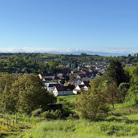 Luna -3 Schlafzimmer, Waschmaschine, Kueche, Wlan, Ca 15 Min Bis Zum Europa Park, * Malterdingen